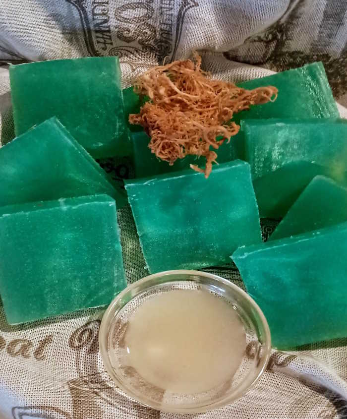 Organic Seaweed Bath Bar